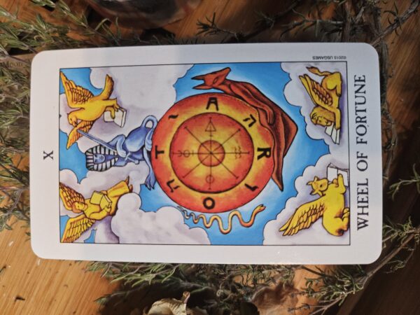 X Wheel of Fortune Tarot Soap - Image 8